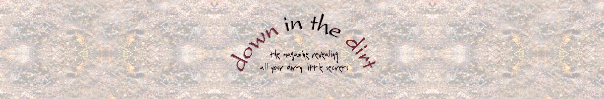 Down in the Dirt - Banner